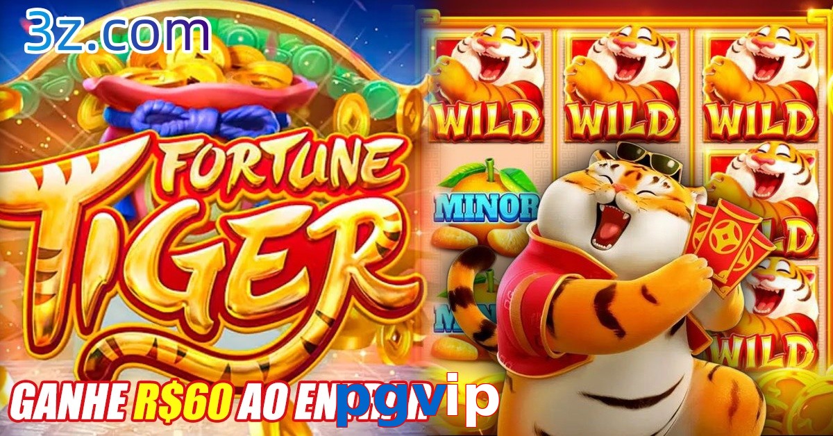 pgvip.com